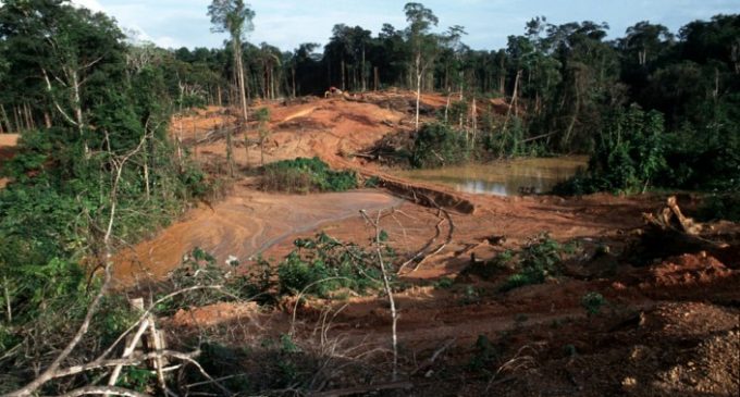 Projet minier « Espérance » en Guyane : Pas d’autorisation des travaux d’exploitation assure Élisabeth Borne;