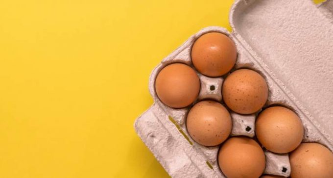 Les œufs, bons ou mauvais pour la santé ?