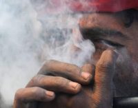 L’Inde, futur géant du cannabis