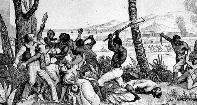 Aurélia Michel : « L’histoire de l’esclavage irrigue encore une large part de l’organisation de notre société »