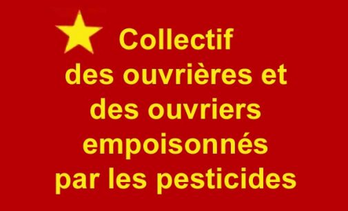 Banane: Le collectif des ouvriers agricoles empoisonnés par les pesticides demande le retrait de la campagne publicitaire en cours.