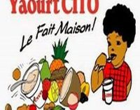 Yaourts CITO : une aventure entrepreneuriale martiniquaise