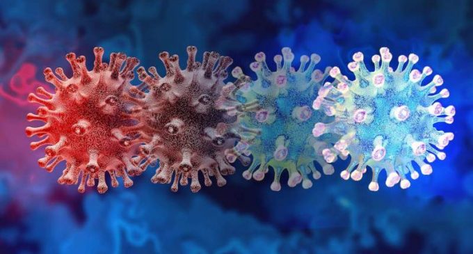 Deux nouveaux variants du coronavirus sont dans le collimateur de l’OMS. Peu d’informations sont disponibles à leur sujet mais ils auraient tous les deux une résistance accrue aux anticorps neutralisants.