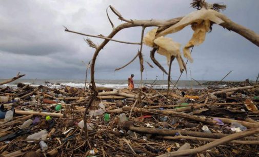 La pollution plastique a atteint « toutes les parties des océans », alerte le WWF