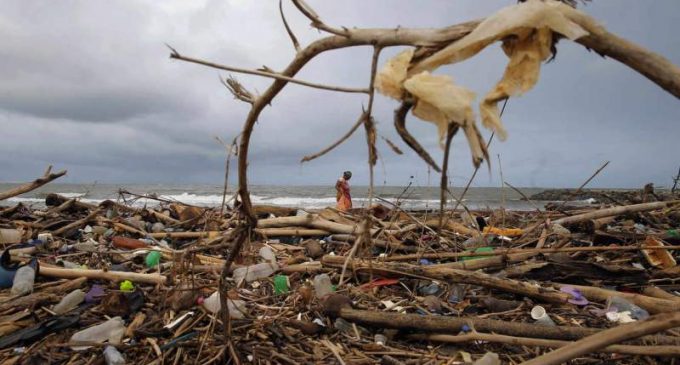 La pollution plastique a atteint « toutes les parties des océans », alerte le WWF