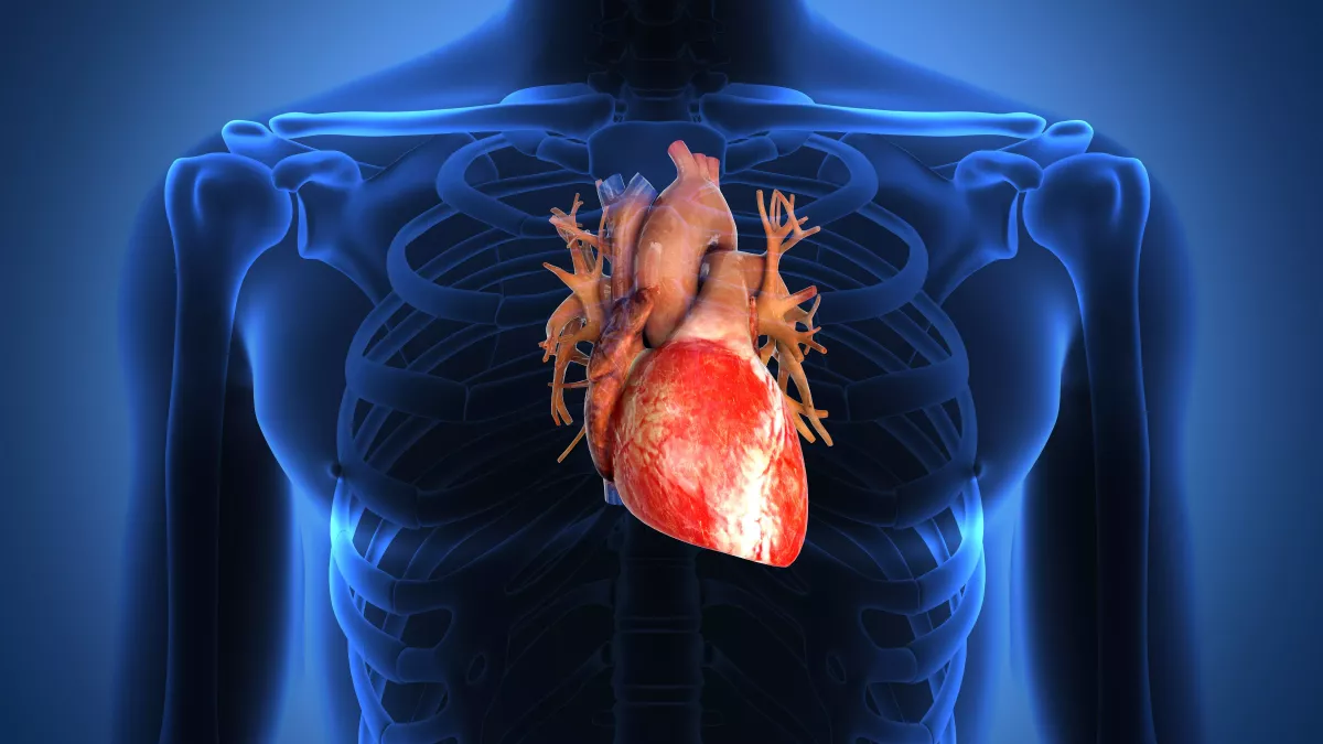 Insuffisance cardiaque : savoir reconnaître les signaux d’alerte