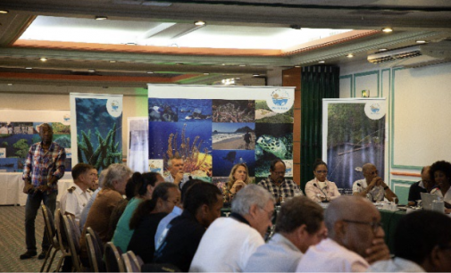 Programme d’actions 2023 du Parc naturel marin de Martinique