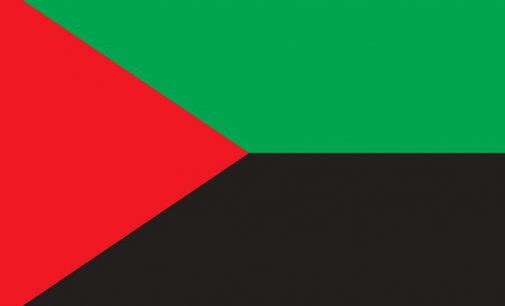 Le drapeau de la Martinique officiellement adopté en Plénière