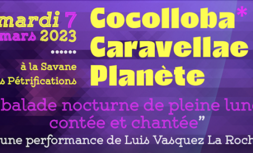 Cocolloba Caravellae Planète » / Balade nocturne 7 mars 18h30