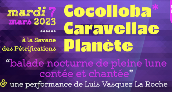 Cocolloba Caravellae Planète » / Balade nocturne 7 mars 18h30