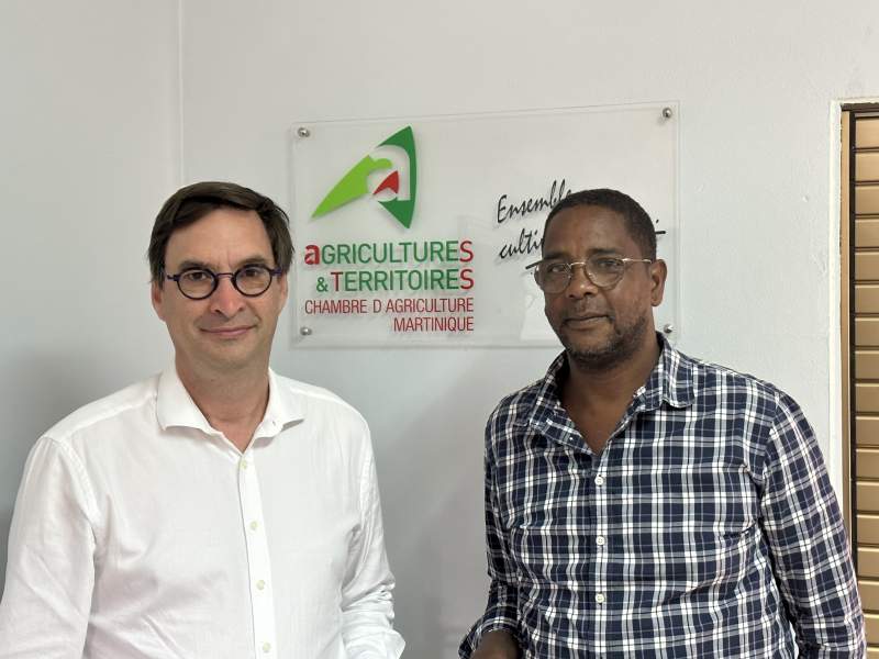 Agriculture : Visite du président des chambres d'agriculture de France à la Martinique