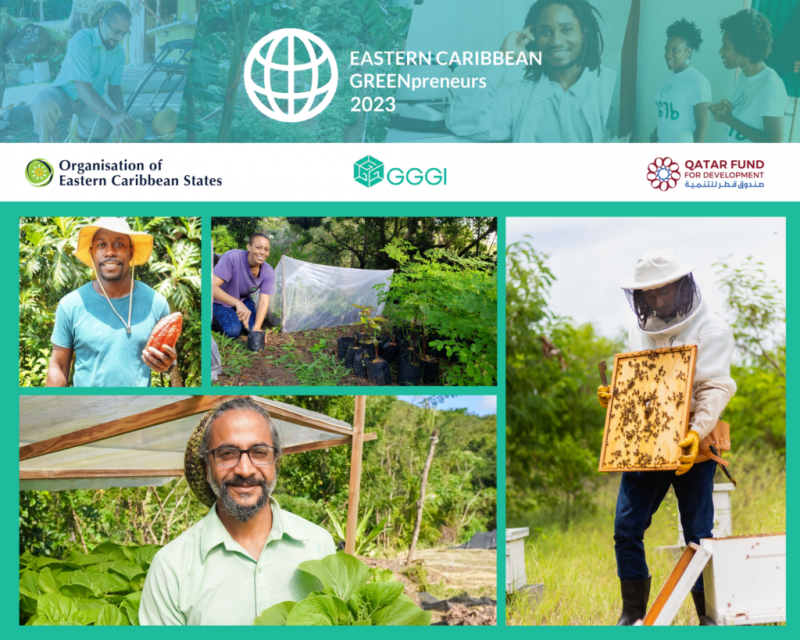 Le programme d'incubation ＂Greenpreneurs＂ des Caraïbes orientales sélectionne sa troisième cohorte.