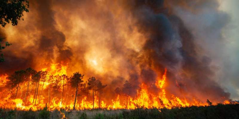 Incendies : 2 290 800 d’euros pour éteindre les flammes en Martinique