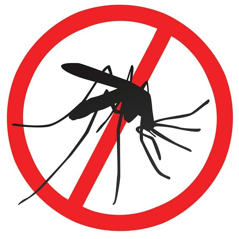 UNE SOLUTION CONTRE LA DENGUE : Le Piège à Moustiques Primé au Concours Lépine 2023