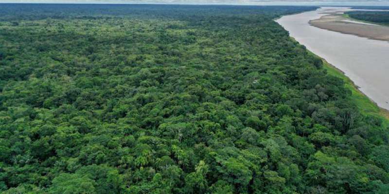 Des cités vieilles de 2.500 ans, découvertes en Amazonie