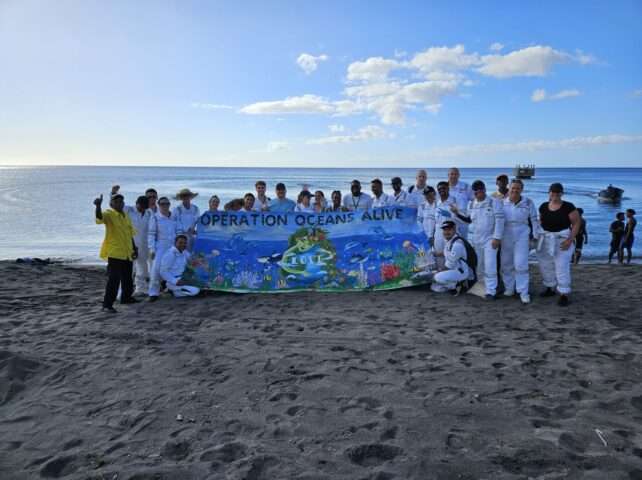 De la croisière de luxe à la croisade environnementale : L'équipage du MV AIDAperla nettoie les plages de la Dominique