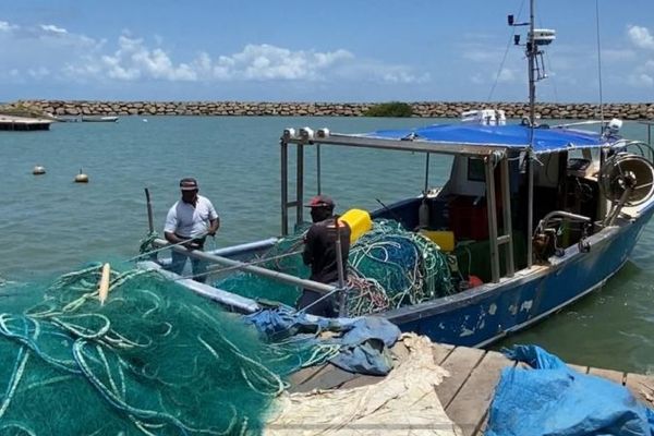 BONNE NOUVELLE - L’Europe autorise l’octroi des aides d’Etat aux marins-pêcheurs de Martinique et de Guadeloupe pour les navires de moins de 12 mètres