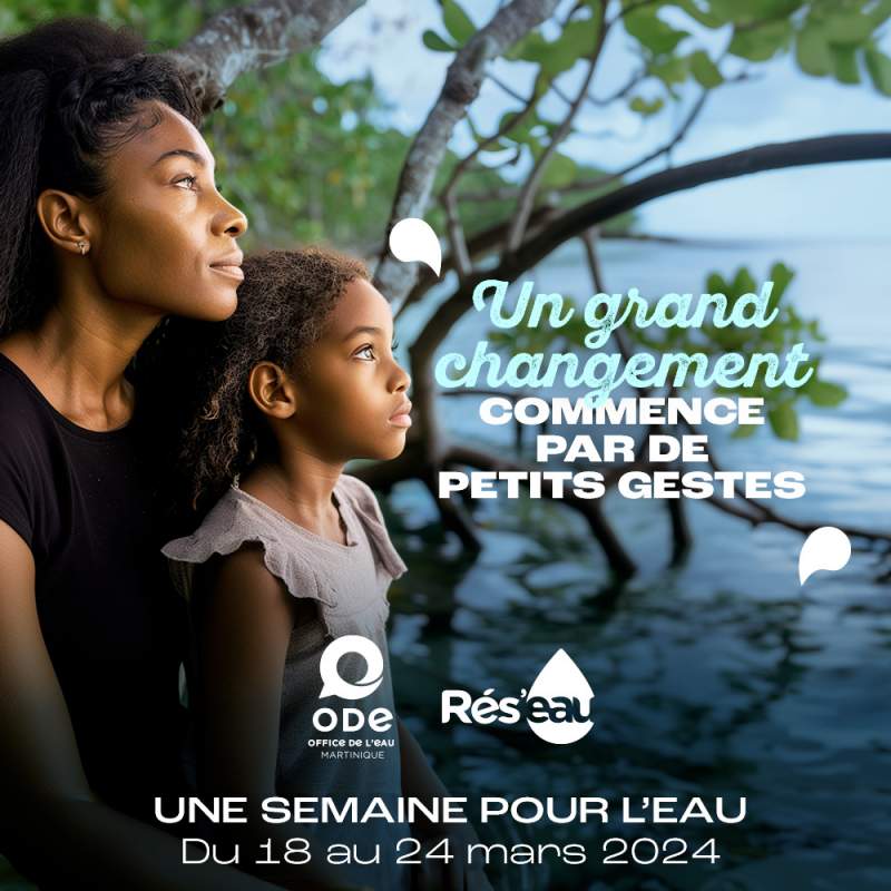 Semaine de l'Eau Martinique : « L’eau pour la paix »