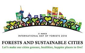 L'OECO célèbre la Journée internationale des forêts en mettant l'accent sur l'innovation et la durabilité