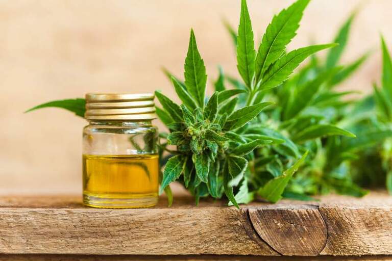La dépénalisation du cannabis est soumise à la Commission de réforme du droit