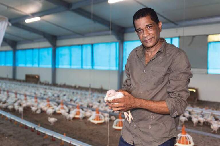 Enquête judiciaire : la coopérative Madivial sous le feu d’un procès correctionnel