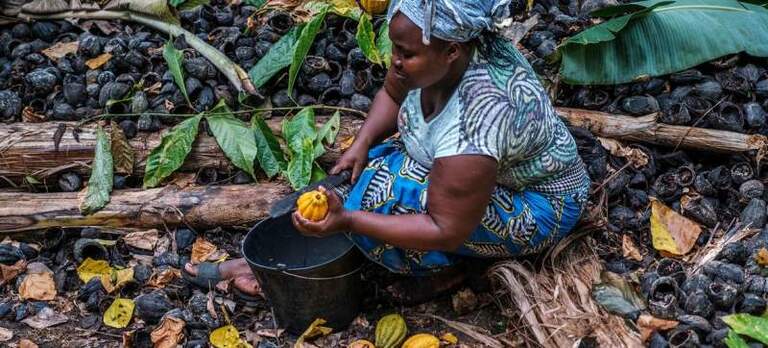 Dette, droits de douane, méfiance : les trois grands fléaux qui menacent le commerce mondial