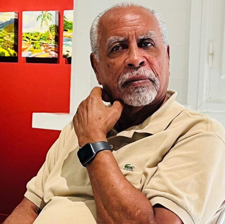 La part du revenu public dans l’économie, ou la laisse qui tient la Martinique. Le Regard de Gdc