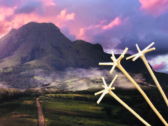 Tous Créoles – Lettre ouverte au Président de la République et au Ministre de l’Éducation nationale et de la Jeunesse