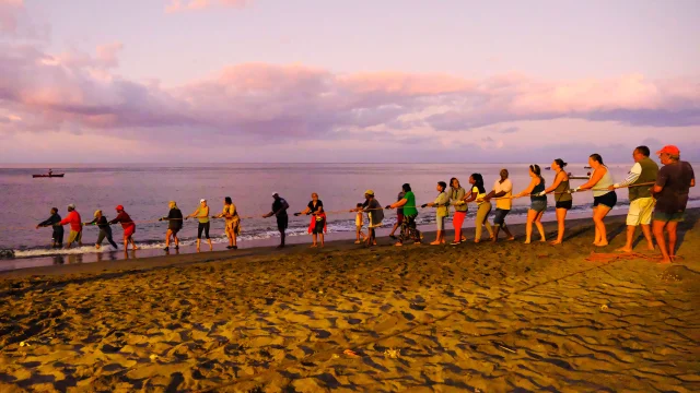 La senne, une pêche traditionnelle entre mémoire et durabilité. Par Camille Guigonnet