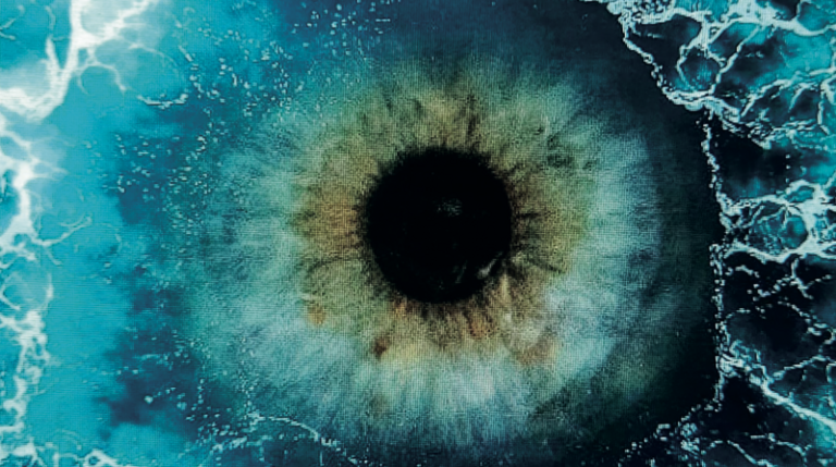 Par où ça passe le père ? Deux journées d’étude à Sainte-Luce pour interroger la fonction paternelle aux Antilles