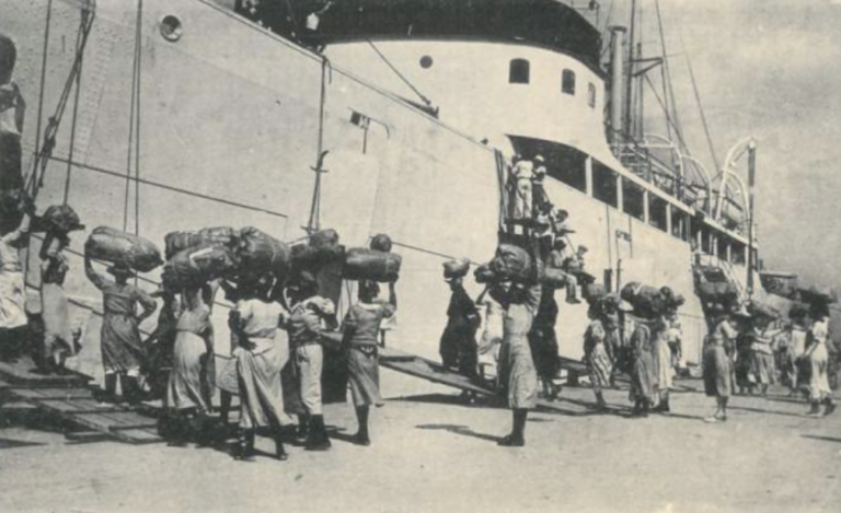 Femmes dockers de Fort-de-France : l’histoire effacée d’une modernisation