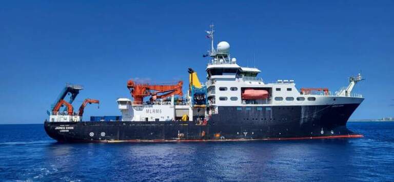 Caiman- -Créatures des profondeurs : l’océan caché des îles Caïmans dévoilé