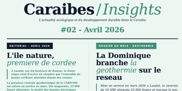 Caraïbe Insight n°2, la transition durable caribéenne entre promesses et réalités