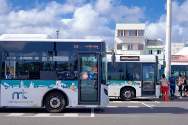 Grève des transports : Le mirroir de nos contradictions? Par Max Pied