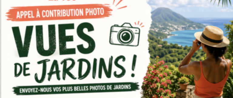 Vues de jardins : Antilla et la DAC lancent un grand concours photo autour des jardins de Martinique