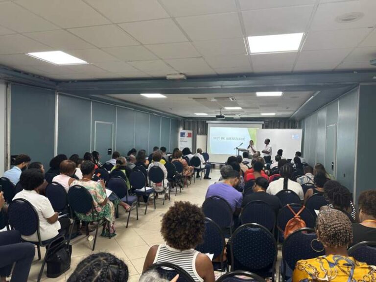 Mental Health: Family-Run Care Facilities Face a Growing Challenge in Martinique