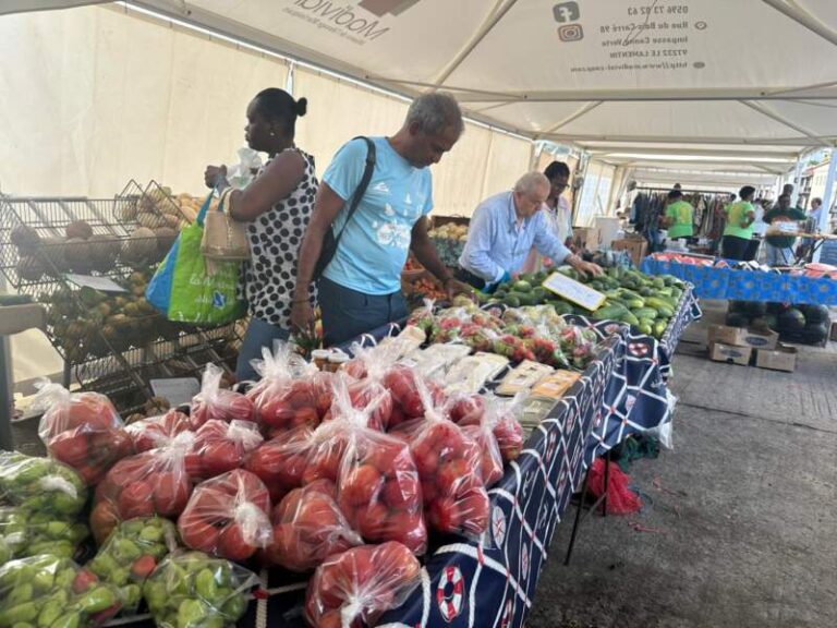 Pour la CTM, la souveraineté alimentaire passera par la diversification agricole