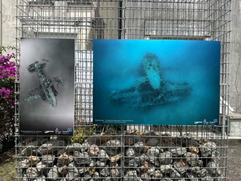 Archéologie sous-marine : quand l’histoire de la Martinique refait surface