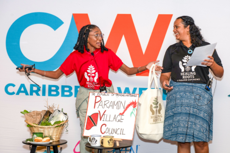 Tourisme caribéen : New York discute stratégie collective