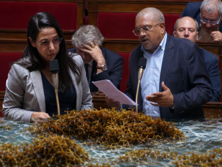 Sargasses : le plan Sargasse 3 face aux demandes du député Nadeau