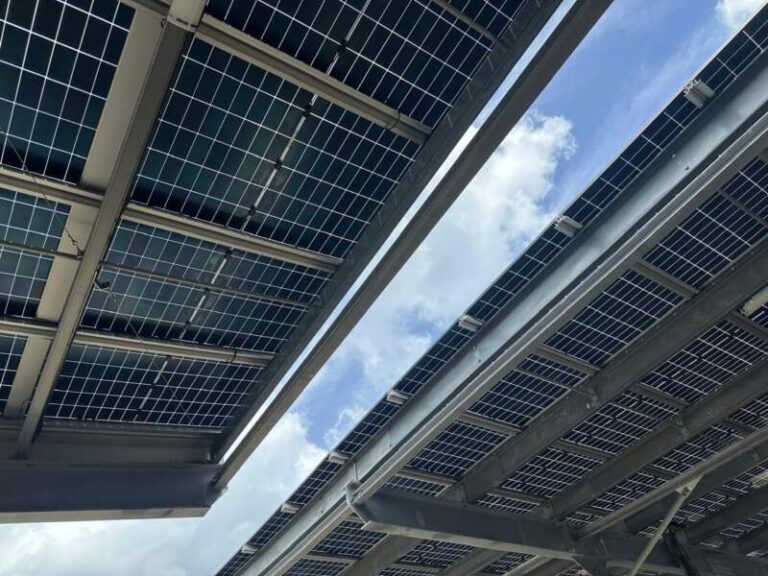 Le Grand Port de la Martinique parie sur le solaire pour son autonomie énergétique