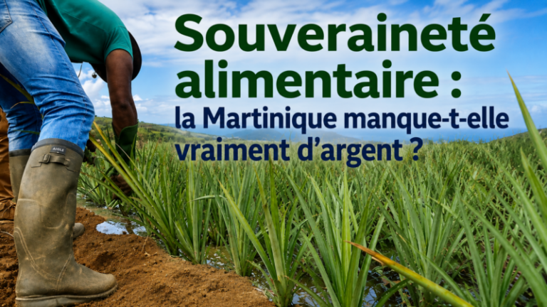 Souveraineté alimentaire : la Martinique manque-t-elle vraiment d’argent ?