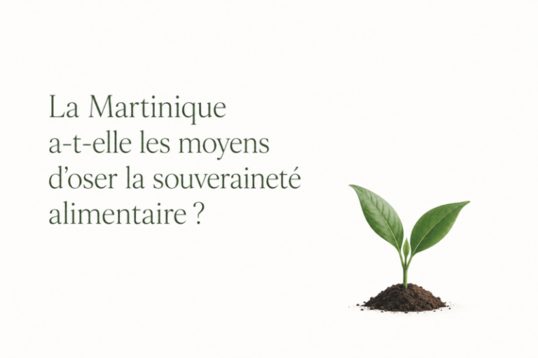 Does Martinique Have the Resources to Aim for Food Sovereignty? (1/5)