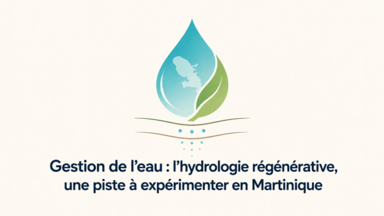 ’hydrologie régénérative Gestion de l’eau : l’hydrologie régénérative, une piste à expérimenter en Martinique