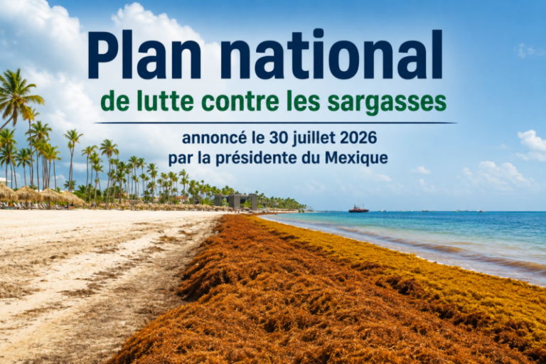 Le  plan national de lutte contre les sargasses annoncé le 30 juillet 2026 par la présidente du Mexique