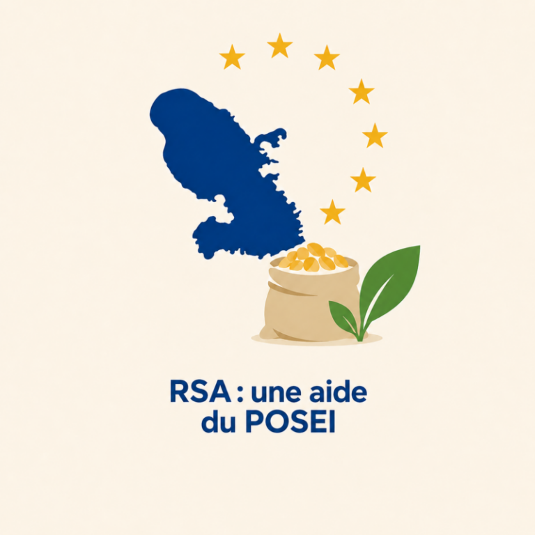 RSA du POSEI