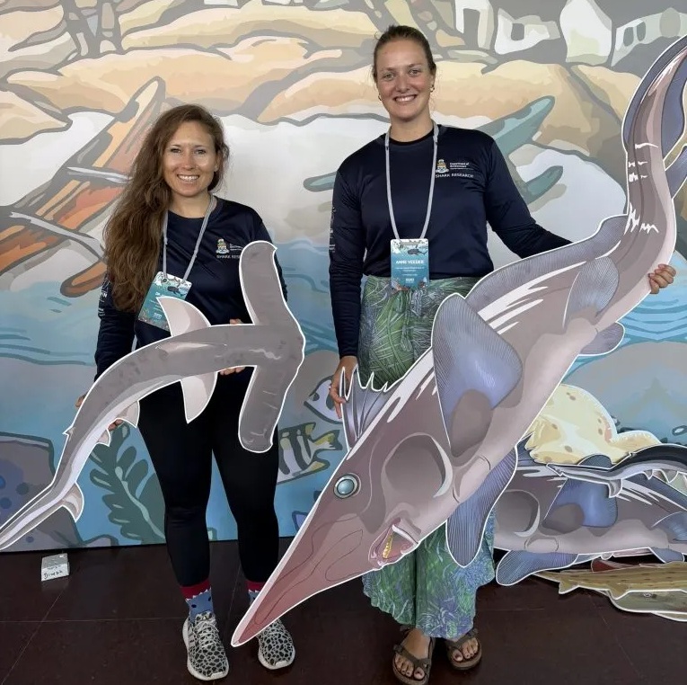 Les recherches sur les requins menées aux îles Caïmans sont débattues sur la scène internationale.