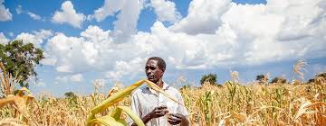 El Niño menace de faire basculer 49 millions de personnes dans la faim : le PAM renforce sa riposte