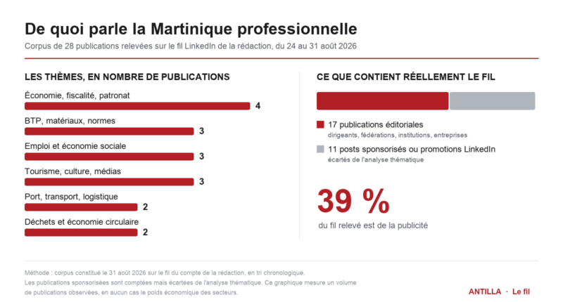 Répartition thématique des publications relevées sur le fil LinkedIn de la rédaction
