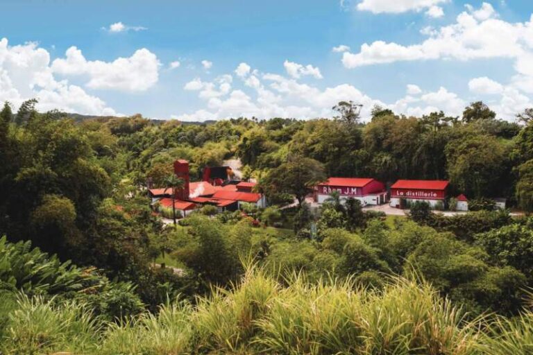 Chez J.M, la presse nationale découvre bien plus qu’un rhum La distillerie J.M à Fonds-Préville, au Macouba